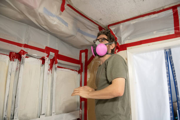 Trusted Silverton, OH Mold Inspection, Removal & Remediation Experts